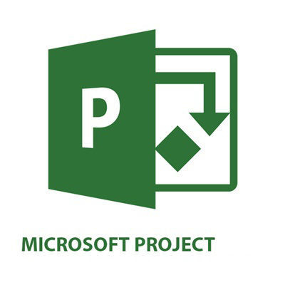 Picture of Microsoft Project