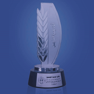 Riyadh Chamber Of Commerce Award For Community Service For The Year 2007