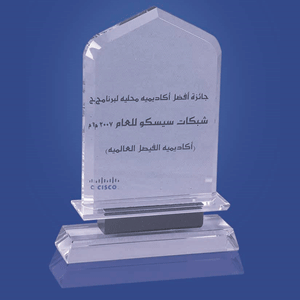 جائزة أكاديمية سيسكو العالمية كأفضل أكاديمية سعودية - 2007