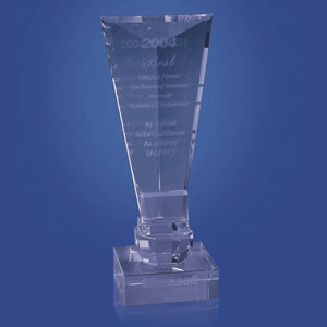 Microsoft Award For The Best Information Technology User In The Year 2003